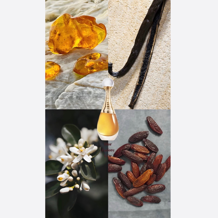 عطر ادکلن دیور ژدوق 50 میل فرگرانس